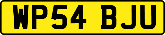 WP54BJU