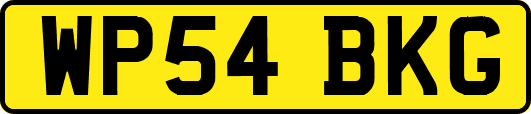 WP54BKG