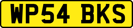 WP54BKS