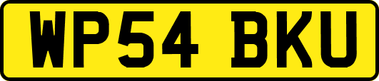 WP54BKU