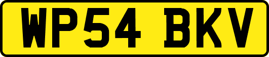 WP54BKV