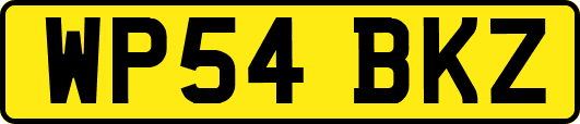 WP54BKZ