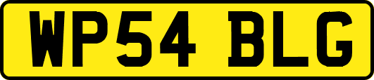 WP54BLG