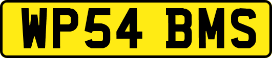 WP54BMS