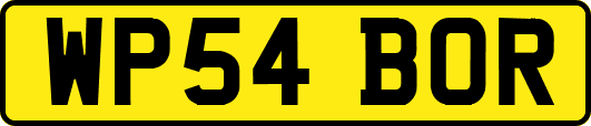 WP54BOR