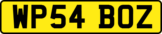 WP54BOZ