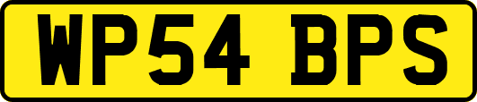 WP54BPS