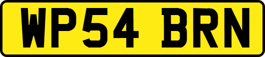 WP54BRN
