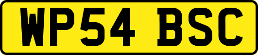WP54BSC