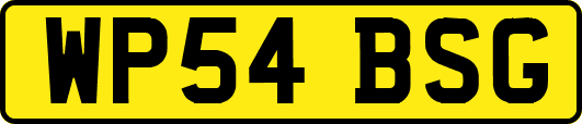 WP54BSG