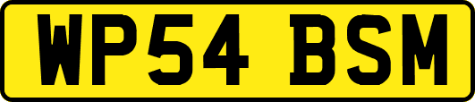 WP54BSM