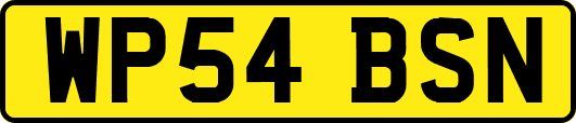 WP54BSN
