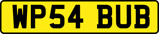 WP54BUB