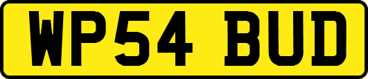 WP54BUD