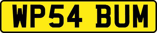 WP54BUM