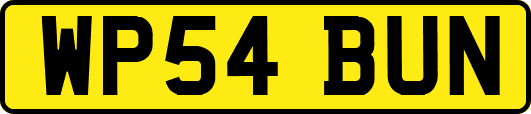 WP54BUN