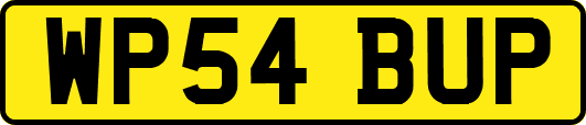 WP54BUP