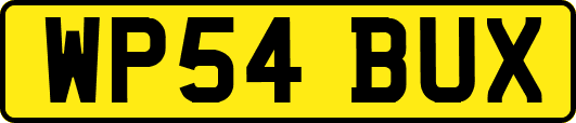 WP54BUX