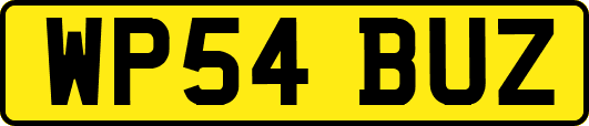 WP54BUZ