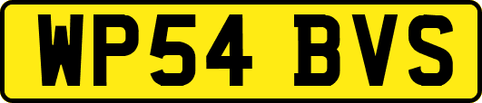 WP54BVS