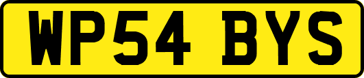 WP54BYS