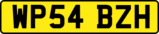 WP54BZH