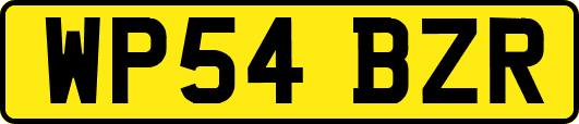 WP54BZR