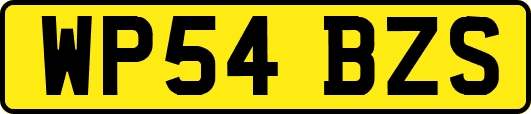WP54BZS