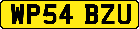 WP54BZU