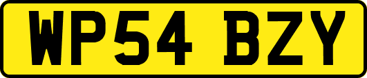 WP54BZY