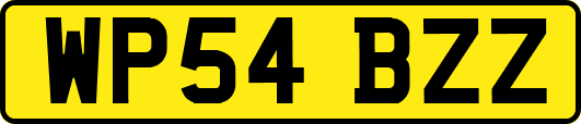 WP54BZZ