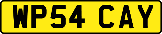 WP54CAY