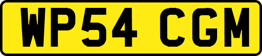 WP54CGM