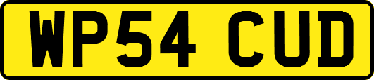 WP54CUD