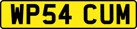WP54CUM
