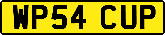WP54CUP