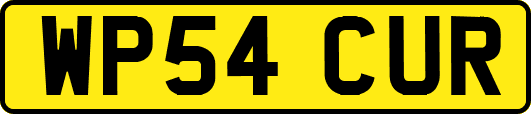WP54CUR