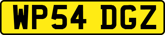 WP54DGZ
