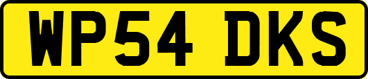 WP54DKS