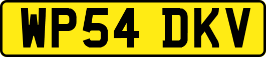 WP54DKV