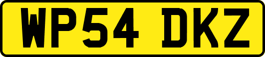 WP54DKZ