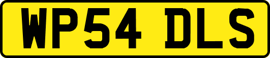 WP54DLS