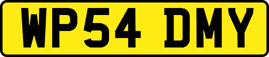 WP54DMY
