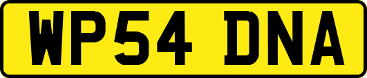 WP54DNA