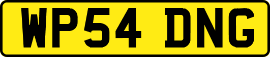 WP54DNG