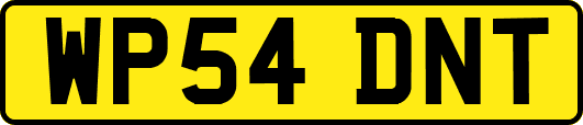 WP54DNT