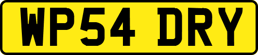 WP54DRY