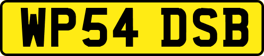 WP54DSB