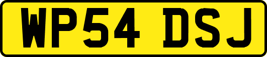 WP54DSJ
