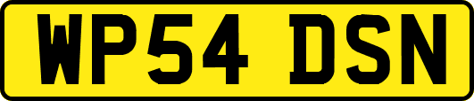 WP54DSN